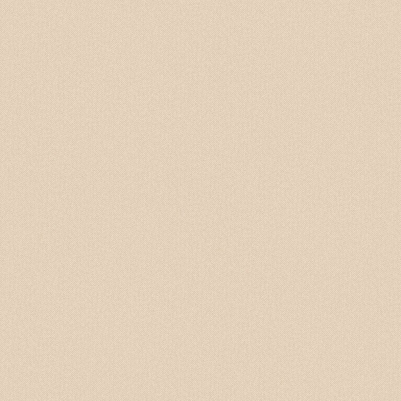 Papel pintado Caselio Chevron Uni  CVR102221563