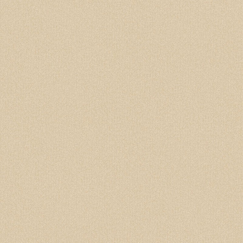 Papel pintado Caselio Chevron Uni  CVR102221256
