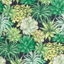 Botanica Echeveria BOTA 8591 73 96 Papel pintado