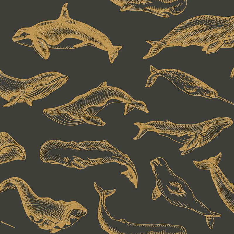 Papel Pintado Caselio Sea You Soon Whale Done SYO102799298