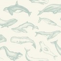 Sea You Soon SYO 10279 70 10 Whale Done Papel