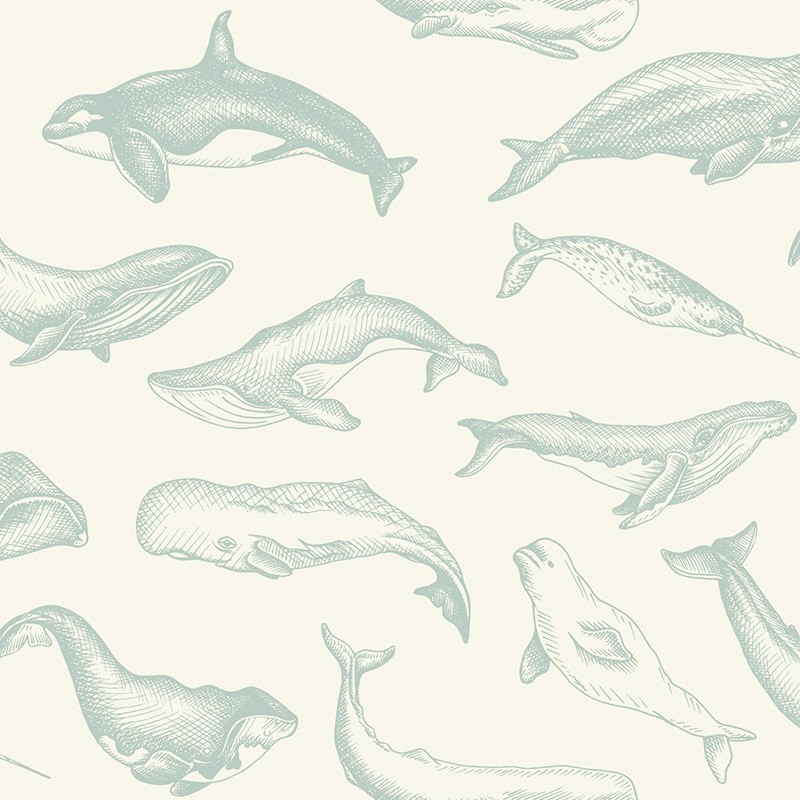 Papel Pintado Caselio Sea You Soon Whale Done SYO102797010