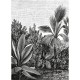Mural Casadeco Beauty Full Image 2 Kenya BFM102059018