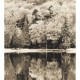 Mural Casadeco Beauty Full Image 2 Autumn BFMA87109514