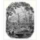 Mural Casadeco Beauty Full Image 2 Jardin d'Hiver BFM102399000