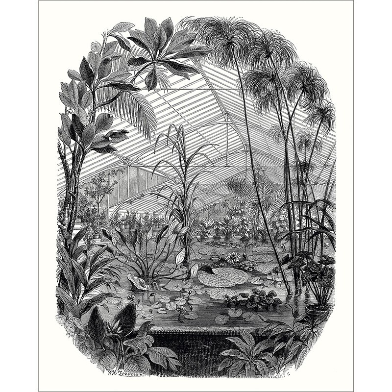 Mural Casadeco Beauty Full Image 2 Jardin d'Hiver BFM102399000