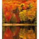 Mural Casadeco Beauty Full Image 2 Autumn BFMA87103813