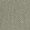 181 Lemuria Baobab 6554 Papel pintado