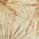 Papel pintado JV Italian Design 181 Lemuria Palme 6532
