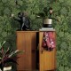 Papel Pintado Holden Amazonia Botanist 91250