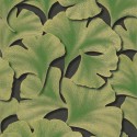 Ginkgo GINK 8624 74 31 Papel Pintado Casadeco