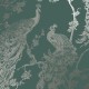 Papel Pintado Holden Indulgence Glistening Peacock 12963