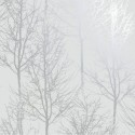 Indulgence 90760 Rea Trees Papel pintado