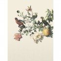 Museum Big Birds 307401 Mural Eijffinger
