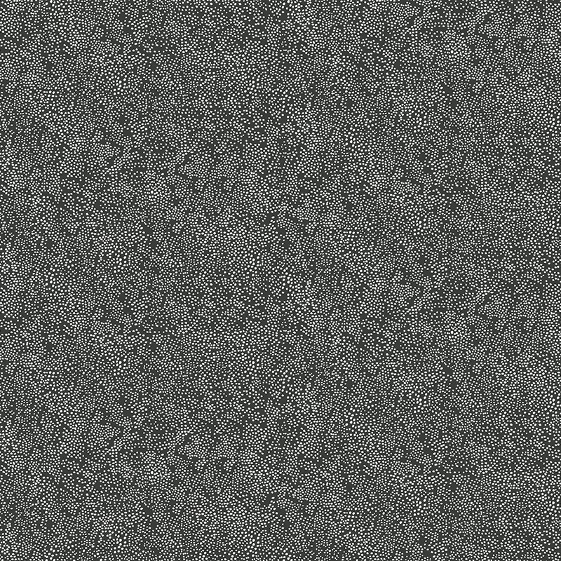Papel pintado York Rifle Paper Co. RI5111