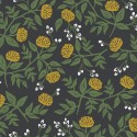 Rifle Paper Co. RI5151 Papel pintado York