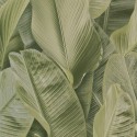 Lymphae 17803 Papel pintado Parati