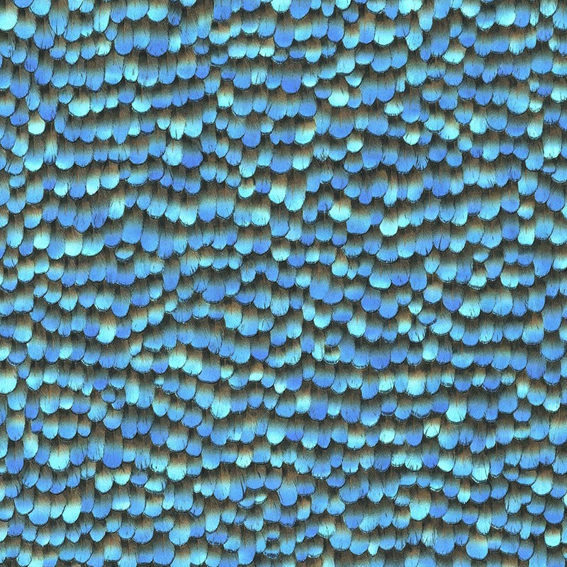 Papel pintado Kemen del Catálogo Samoa 8278