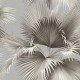 Papel pintado Wallquest Newport Summer Palm EC81908
