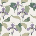 Modern Heritage NV5528 Papel pintado York