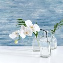 Anthology Resource DB10402 Papel pintado Wallquest