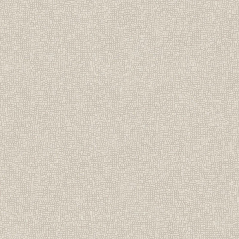 Papel pintado Casadeco del Catálogo SO COLOR 4  SCOL80541323