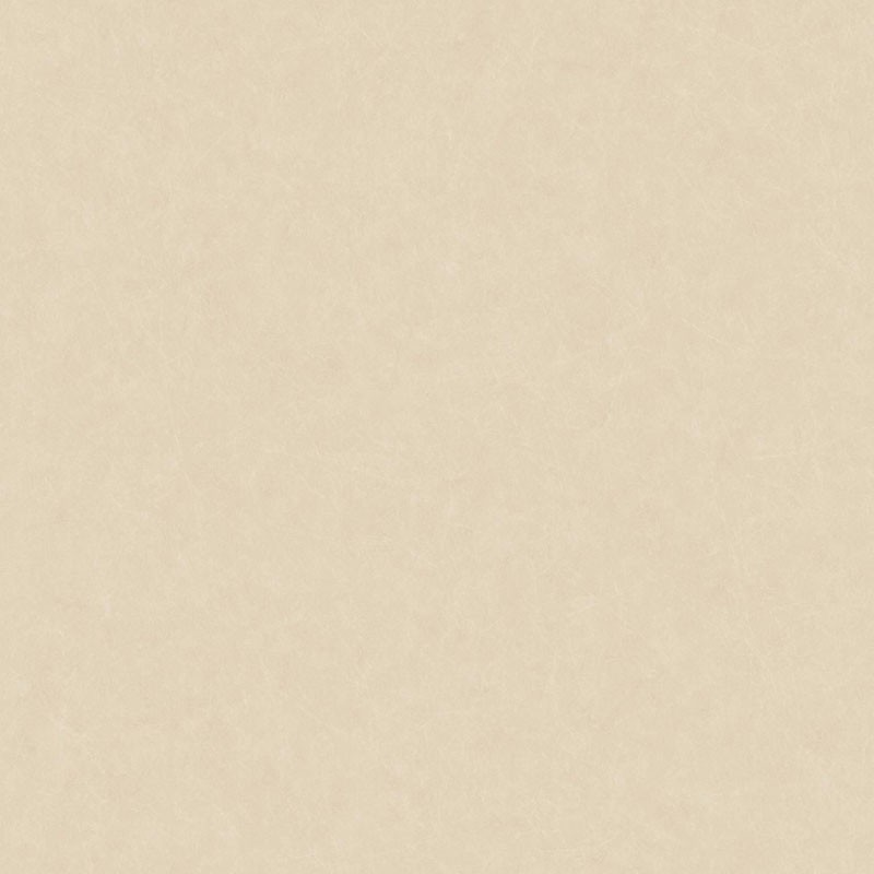Papel pintado Casadeco del Catálogo SO COLOR 4  SCOL28651202
