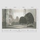 Mural Arte Decors & Panoramiques Le Jardin Mystique 97551