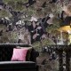 Revestimiento Arte Decors & Panoramiques Wonderwoods 97541