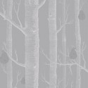 The Contemporary Selection 95/5029 Cole & Son Papel Pintado