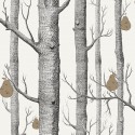 The Contemporary Selection 95/5027 Cole & Son Papel Pintado