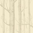 The Contemporary Selection 69/12148 Cole & Son Papel Pintado