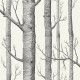 Papel pintado Cole & Son The Contemporary Selection Woods 69-12147