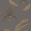 The Contemporary Selection 95/10056 Cole & Son Papel Pintado