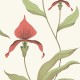 Papel pintado Cole & Son The Contemporary Selection Orchid 95-10054