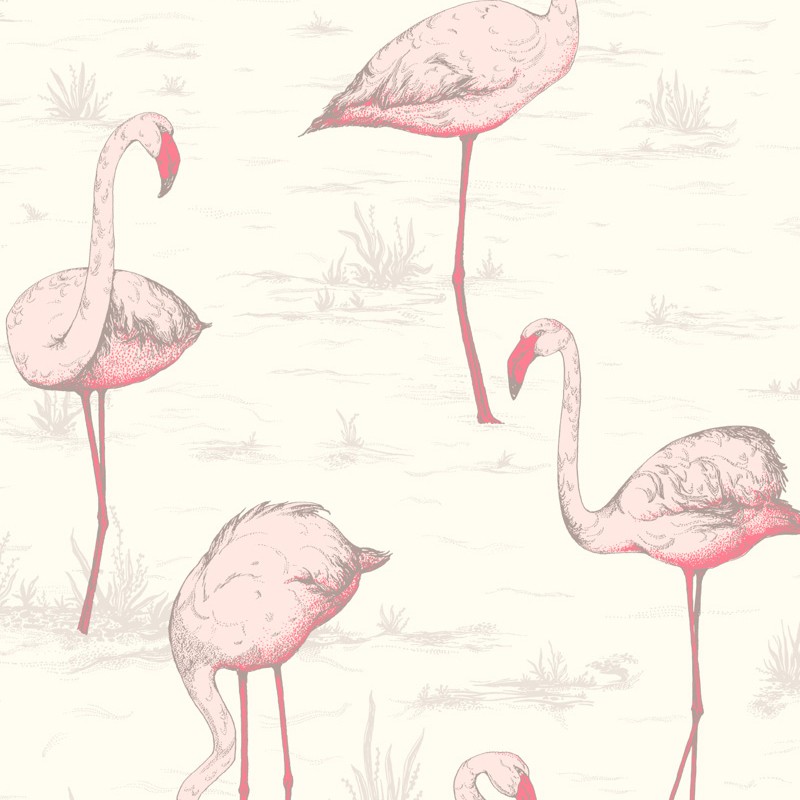 Papel pintado Cole & Son The Contemporary Selection Flamingos 95-8045