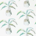 Zanzibar Crassula 111993 Papel pintado Scion