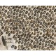 Mural Wall&Decò 2019 My Africa WDMA1901