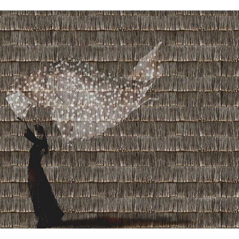 Mural Wall&Decò 2019 Poid plume WDPP1902