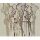 Mural Wall&Decò 2021 String Pull WDTR2101