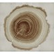 Mural Wall&Decò 2021 Tree of Life WDEE2102
