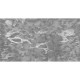 Mural Muance Collection 3 Amber Coral on the Wall MU13096