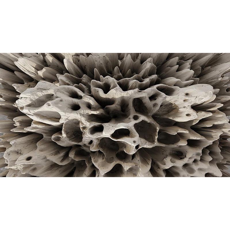 Mural Muance Collection 3 Amber Coral on the Wall MU13095