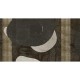 Mural Muance Collection 3 Amber Avalon Willow MU13059