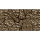 Mural Muance Collection 3 Amber A Line in the Sand MU13056
