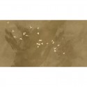 Cherry Flight MU13050 Mural Muance Amber
