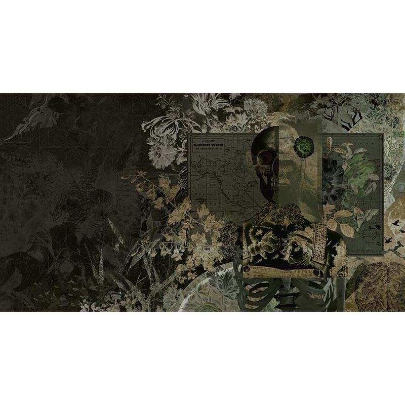 Mural Muance Collection 3 Amber Skull Candy MU13048