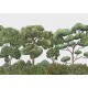 Mural Decorativo Coordonné Random Kids Green Forest 9700090