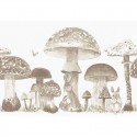 Sweet Forest 9700012 Mural Random Kids Coordonné