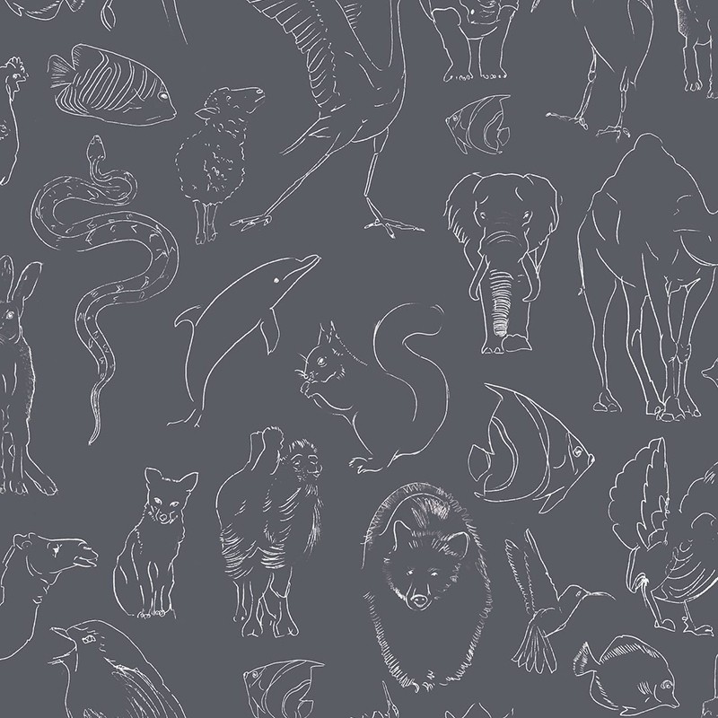 Papel Pintado Coordonné Random Kids Zoology Chalk 9700185